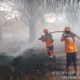 Lonjakan Titik Panas di Ogan Komering Ilir Picu Eskalasi Karhutla Lahan Gambut