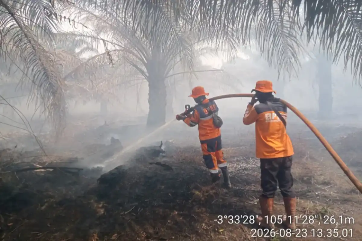 Lonjakan Titik Panas di Ogan Komering Ilir Picu Eskalasi Karhutla Lahan Gambut