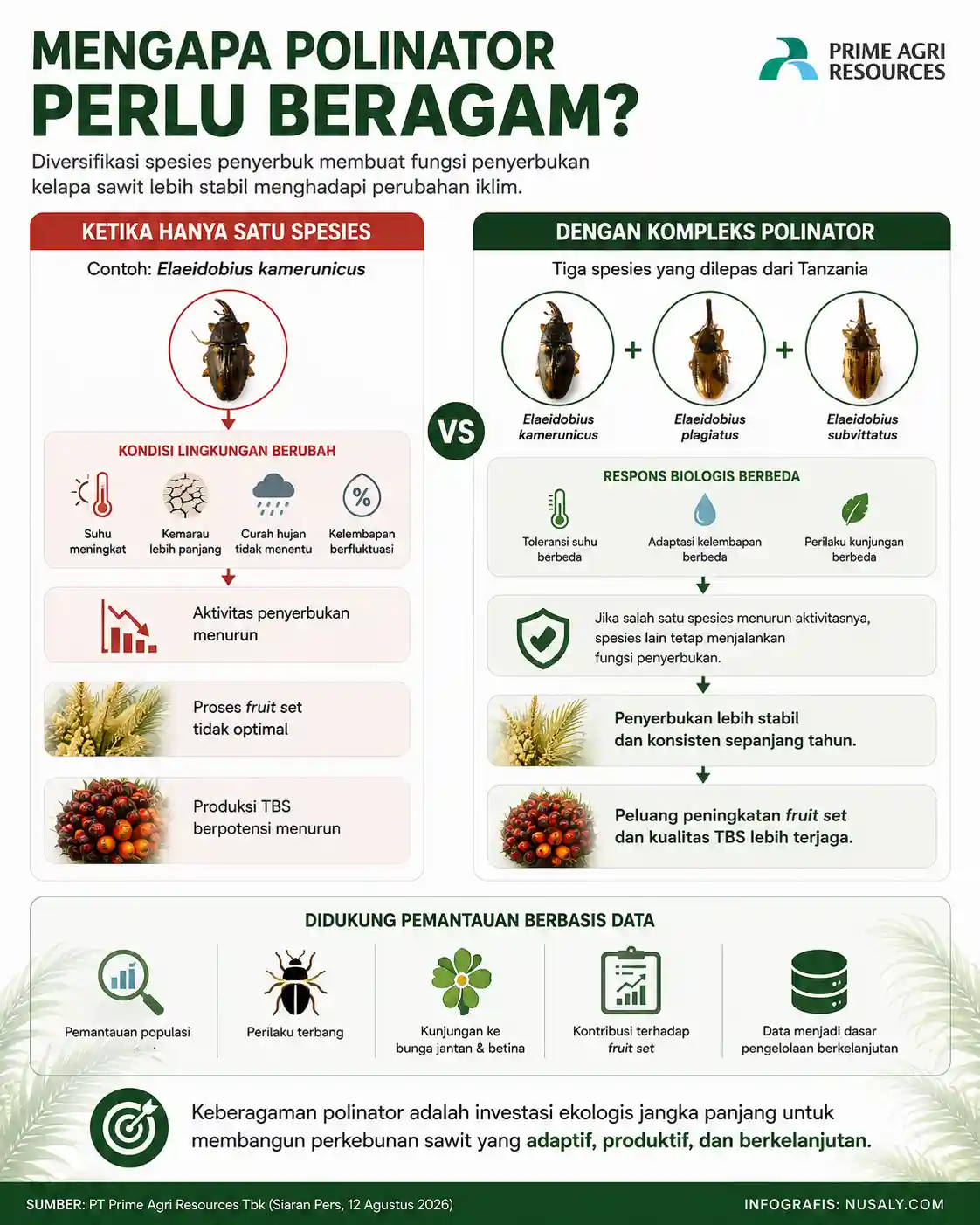 Mengapa Polinator Perlu Beragam?