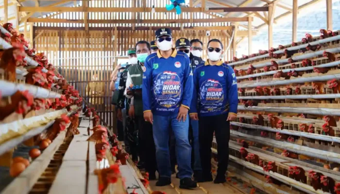 Perkuat Ketahanan Pangan, 10 Desa di Bayung Lencir Keroyokan Kelola Peternakan Ayam dan Budidaya Patin