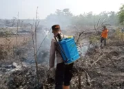 Gerak Cepat Polsek Lubuk Batang Selamatkan 8,5 Hektar Kebun Warga dari Kobaran Api