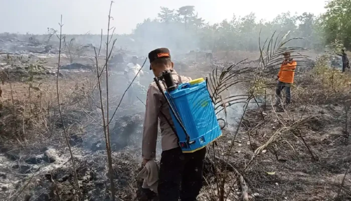 Gerak Cepat Polsek Lubuk Batang Selamatkan 8,5 Hektar Kebun Warga dari Kobaran Api