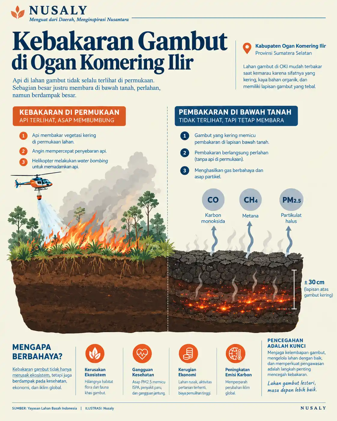 Peatland Fire in Ogan Komering Ilir